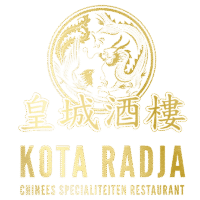 Kota Radja Hattem
