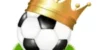 Hattem JO12 ongeslagen kampioen