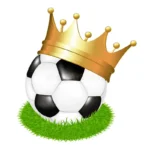 Hattem JO12 ongeslagen kampioen